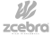 zcebra_ausblick_consulting-2